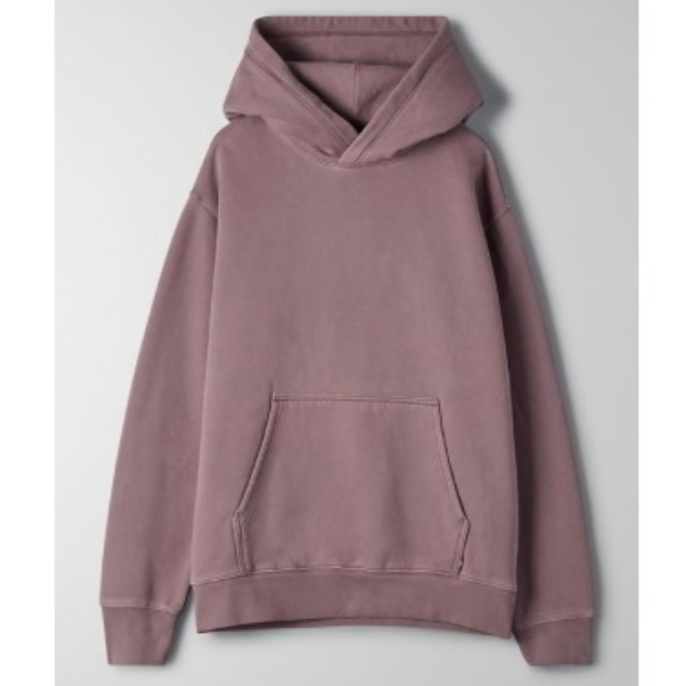Aritzia_Cozy (COZYAF) Fleece Perfect Hoodie _ Classic fleece pullover hoodie_2XS
